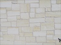 Austin Limestone